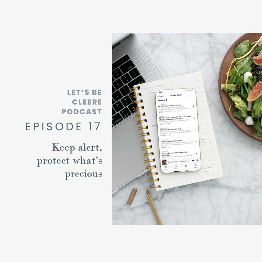 Episode 17: Keep alert, protect what's precious