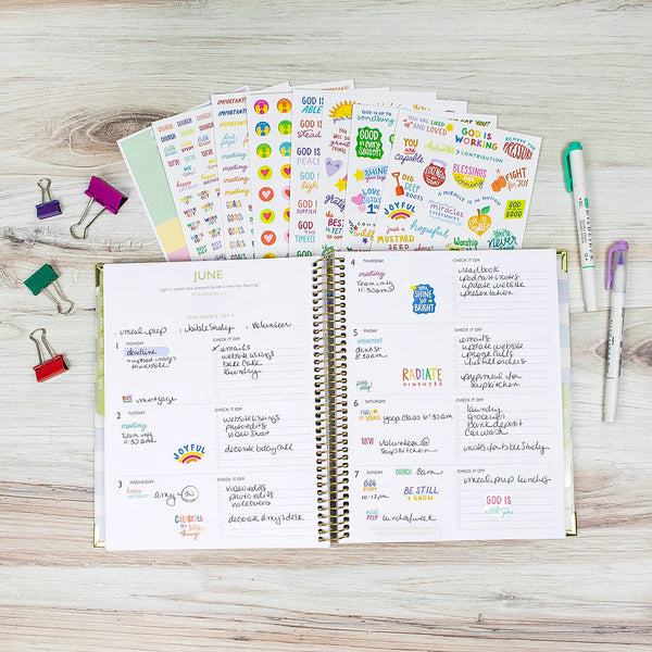 Rooted in Miracles Bundle